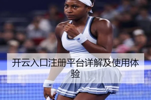 开云入口注册平台详解及使用体验
