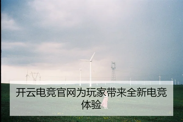 开云电竞官网为玩家带来全新电竞体验