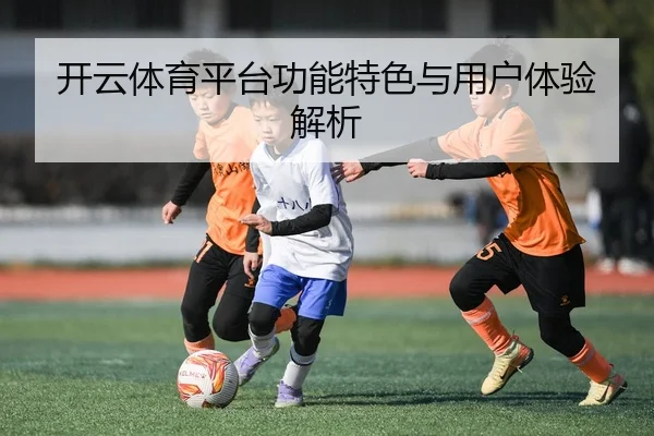 开云体育平台功能特色与用户体验解析
