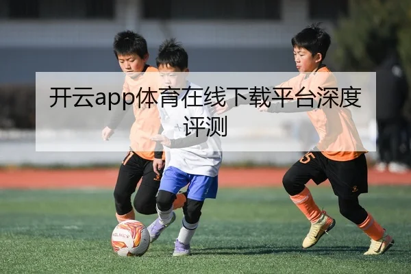 开云app体育在线下载平台深度评测