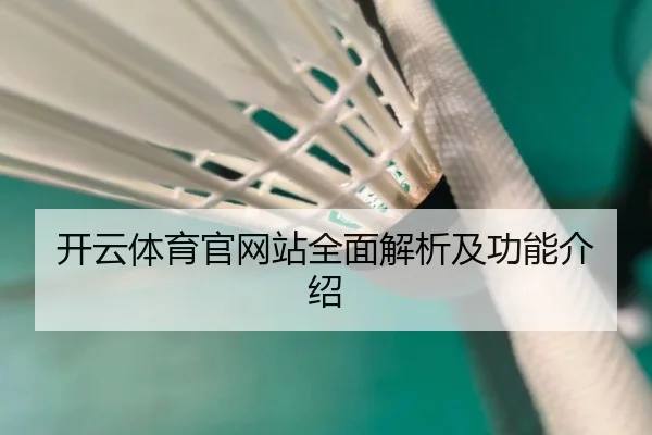 开云体育官网站全面解析及功能介绍
