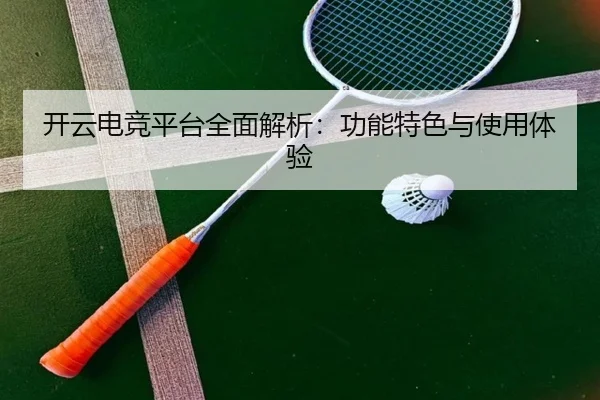 开云电竞平台全面解析：功能特色与使用体验